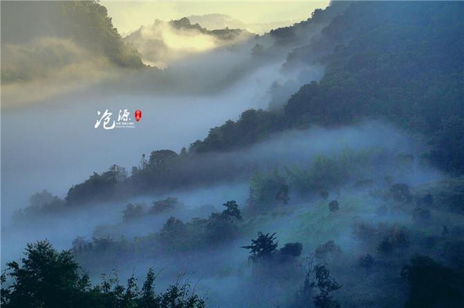 要做出最正宗的爆炒田螺，要确保食材的新鲜和品质