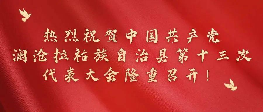 可怜猫的救援