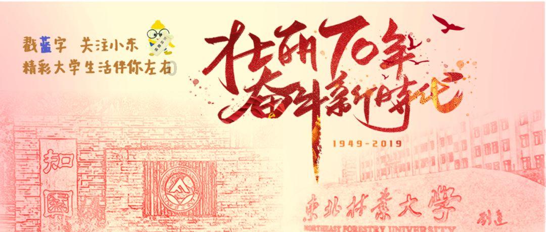 凤凰不好惹