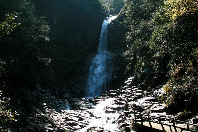 异星探险家
